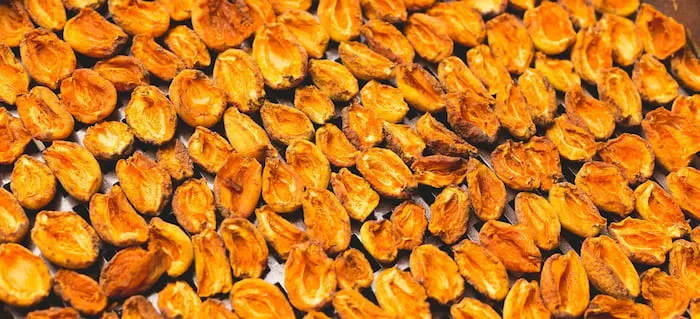 خرید زردآلو خشک شده + قیمت عالی با کیفیت تضمینی