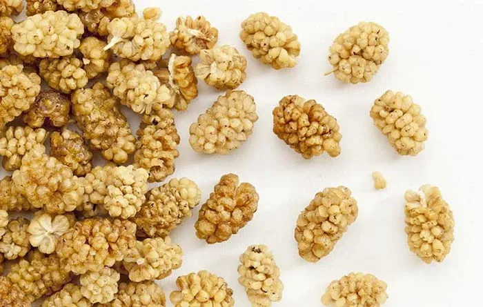 قیمت خرید توت خشک شده + عکس