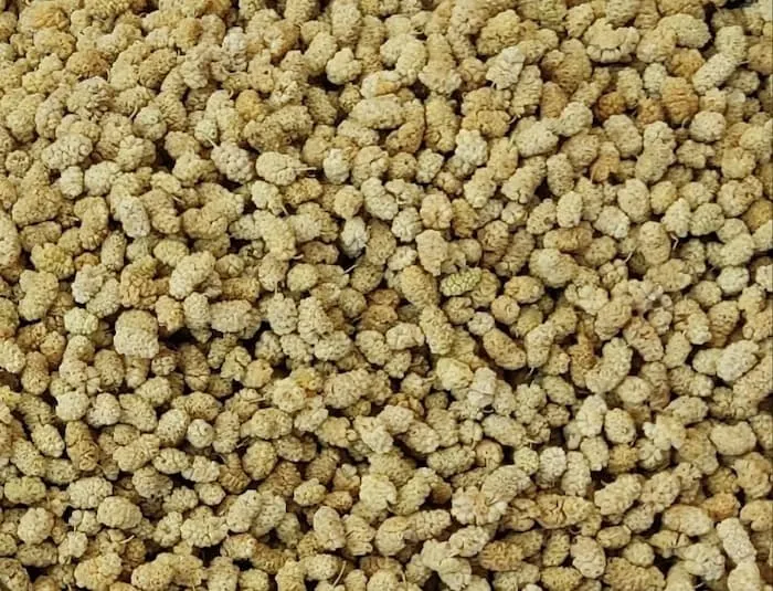 قیمت خرید توت خشک شده + عکس