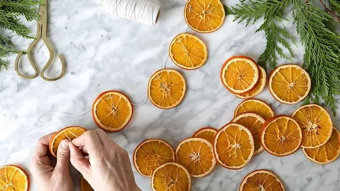 راهنمای خرید  پرتقال خشک بدون تلخی + قیمت عالی