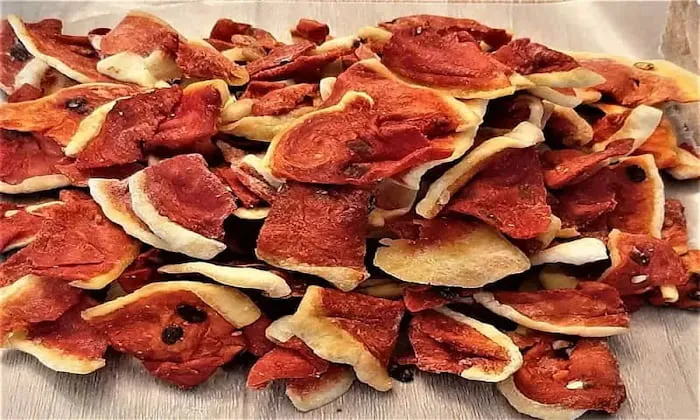 خرید و قیمت روز هندوانه خشک شده