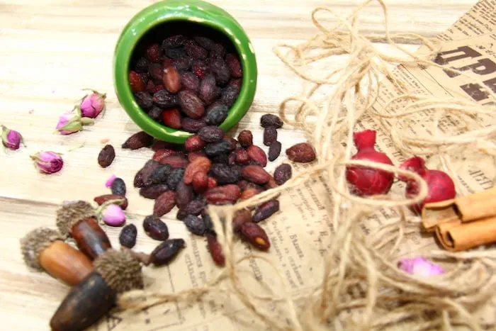 قیمت خرید زغال اخته خشک + مشخصات، عمده ارزان